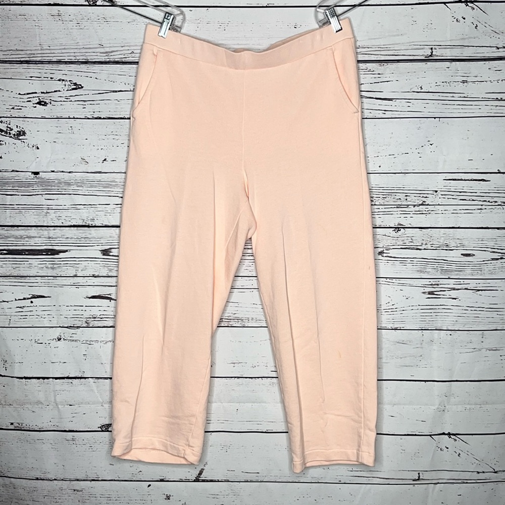 Haven Well Within Size L Pink Elastic Waistband Pull On Crop Sweatpants